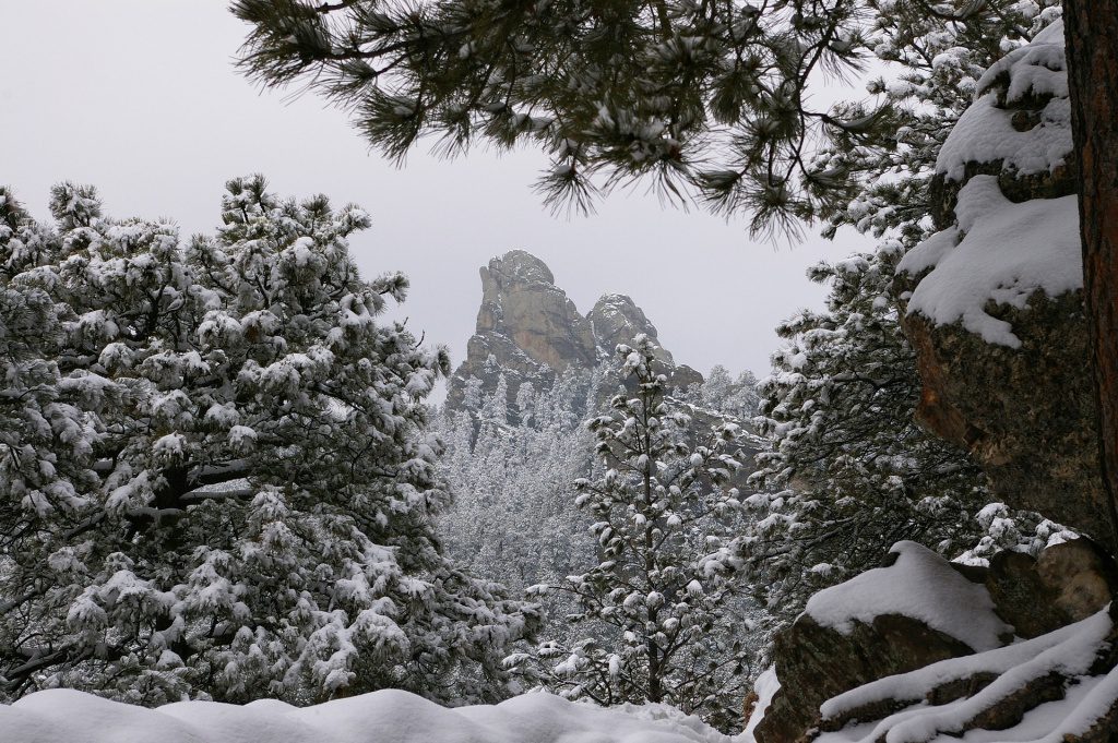 Winter in the Black Hills of South Dakota near the RV park and cabin rental at Holy Smoke Resort in Keystone